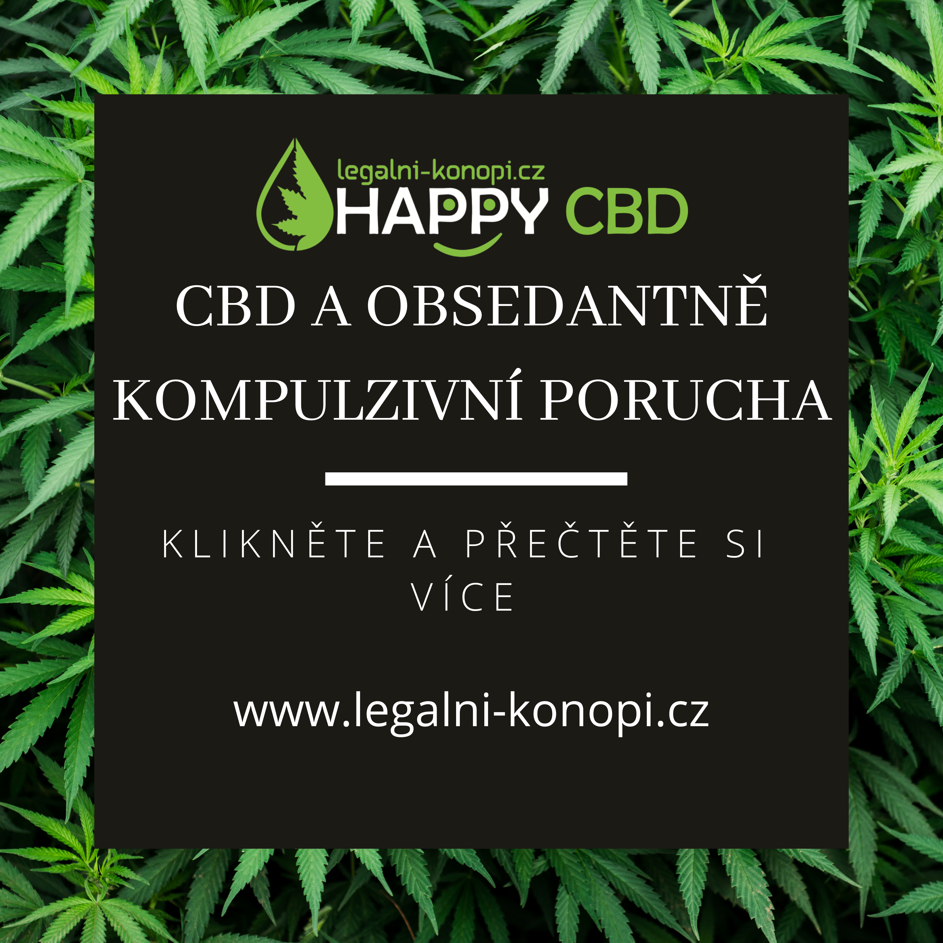 CBD a Obsedantne kompulzívna porucha - Legalni-konopi.sk